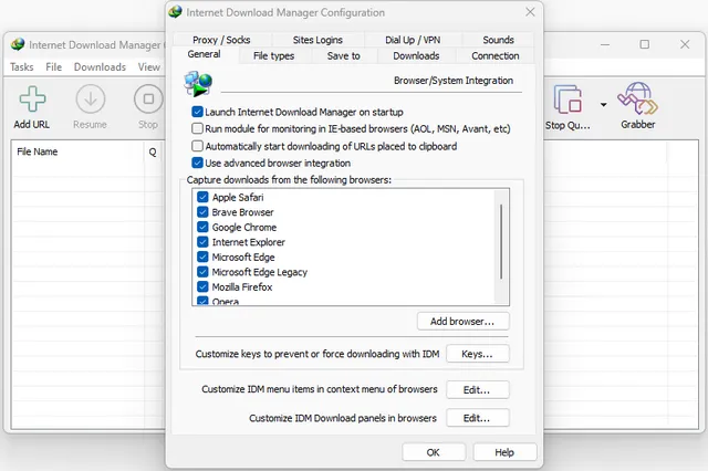 Download Internet Download Manager for Windows